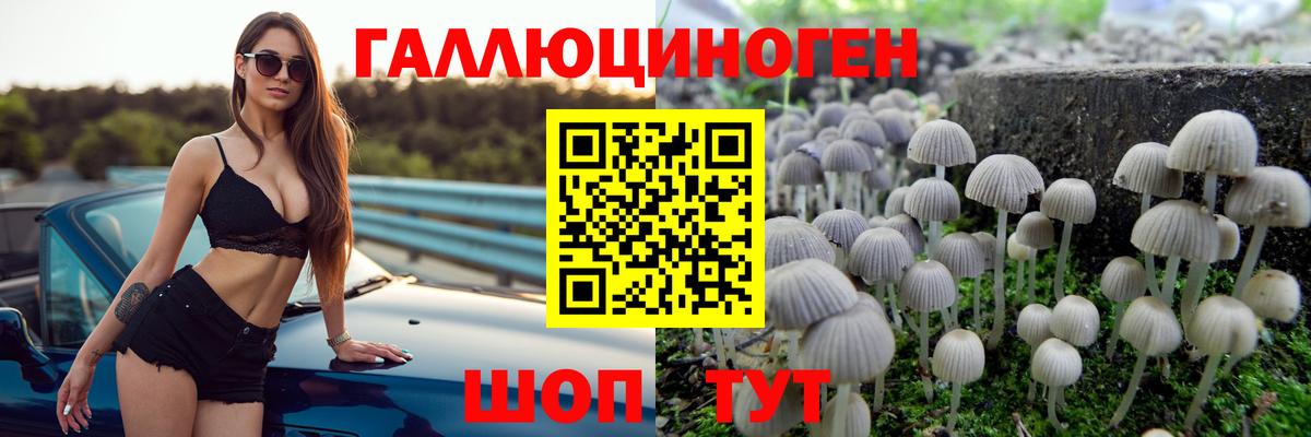 Галлюциногенные грибы ЛСД  Вход с VPN  Кумертау 